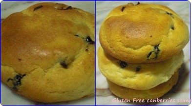 Gluten Free Scone