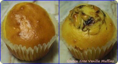 Gluten Free Vanilla Muffin