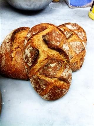 Panne Magge Rye Bread