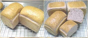 Purple Wheat Corn Bread