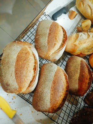 Rye Meal Bread